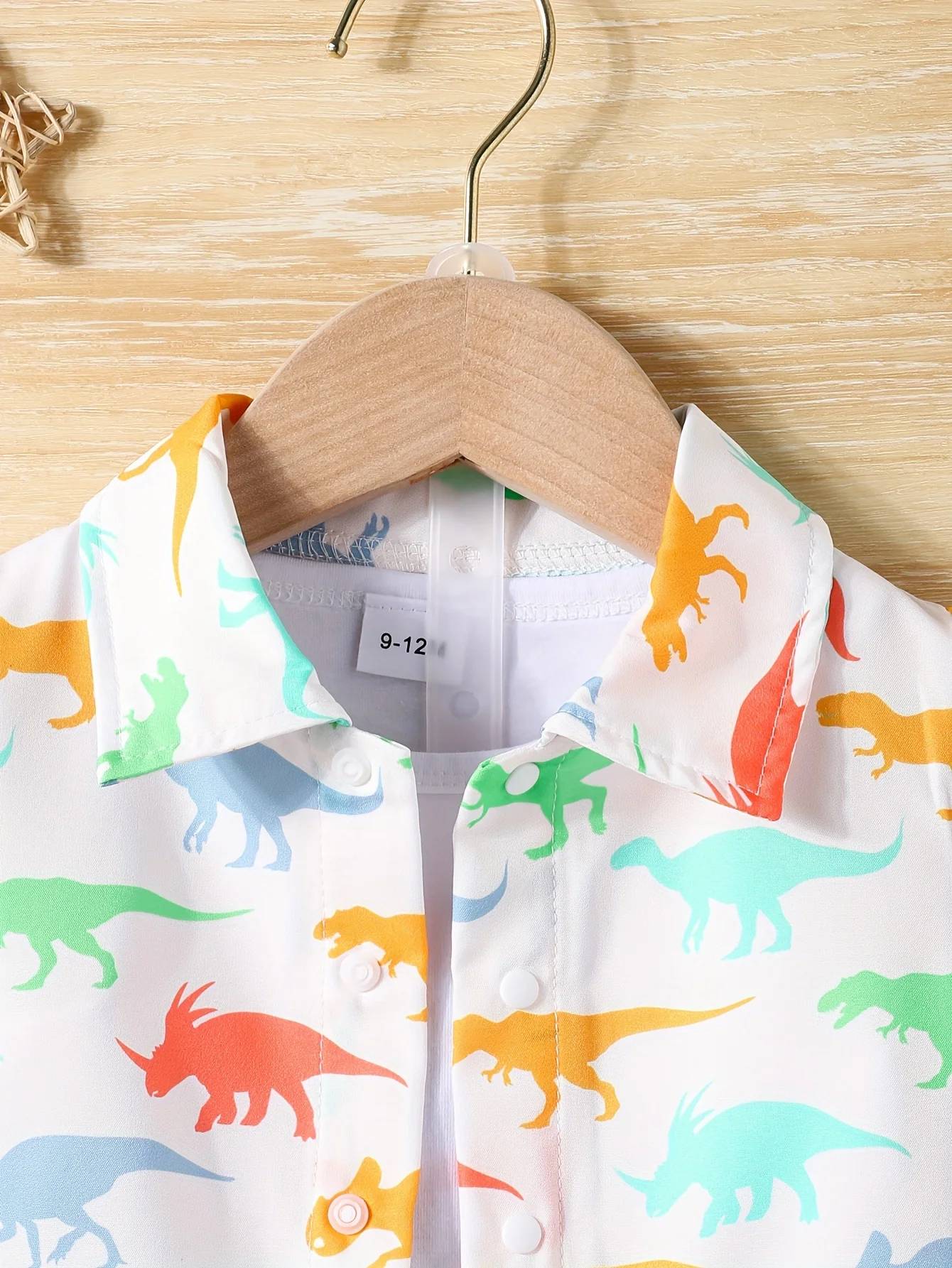 きょうりゅうサマーセットアップ